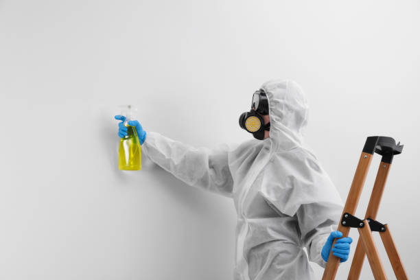 Best Residential Mold Inspection & Testing in Jonesville, VA